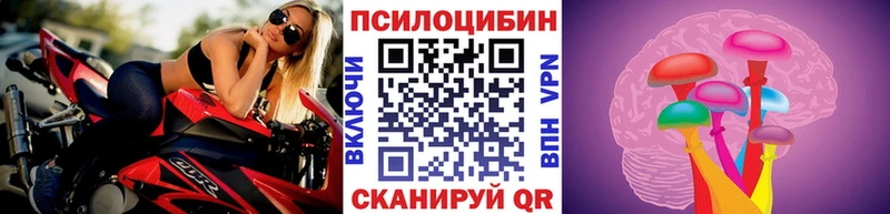 Псилоцибиновые грибы Magic Shrooms  где можно купить   Белинский 